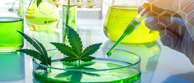 Cannabis-Science-Blog-Image-660x283