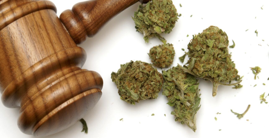 cannabis gavel